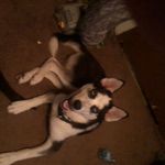 Pamela Hawks - @pamela.hawks.982 - Instagram
