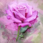 Pamela Hecht - @hecht7208 - Instagram