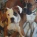Pamela Helm - Facebook