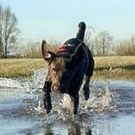 Pamela Hoffmann - @pamelahoffmann59 - Instagram