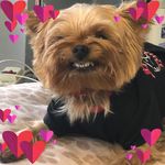 Pamela Baker Hopper - @pamelalhopper - Instagram