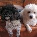 Pamela Hopper - Facebook