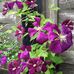 Pamela Hopper - Facebook