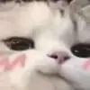 Jerry Pamela - @jerry.pamela - TikTok
