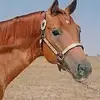 Pamela Jerry Ireland - @pamela.jerry.irel - TikTok