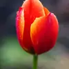 pamelajerry2876 - @pamelajerry2876 - TikTok