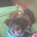 Pamela Kaiser - Facebook