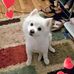 Pamela Kaiser - Facebook