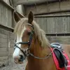 Pamela Keeling - @user880360504 - TikTok