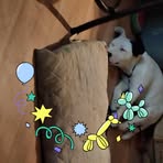 Pamela Ķiser - Facebook