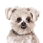 PAMELA KELLERMAN - @apencilandapaw - Instagram