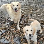 Pamela Kilpatrick - @oakleytherascalbentleyboy - Instagram