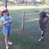 Pamela Koster - @pamelakoster - TikTok
