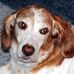 Pam Knapp - Facebook