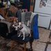 Pamela Knapp - Facebook