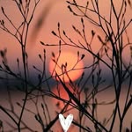 Pamela Knapp Schroeder - @pamelaknappschroeder - Instagram