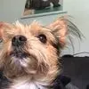Pamela Knowles - @pamela.knowles - TikTok