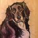 Pamela Koon - Facebook