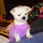 Pamela Krick - Facebook