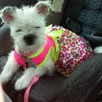 Pamela Krick - Facebook