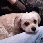 Pamela Sutton Krickler - @pamelakrickler - Instagram