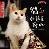 Pamela Lai - @pamelalai4 - TikTok