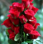 Pamela Lall - Facebook