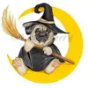 Pamela Lam Allen - @pamelalamallen - TikTok