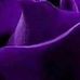 Pam Larocque - Facebook