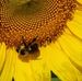 Pamela LeMaster - Facebook
