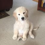 @pamelalemaster - Instagram