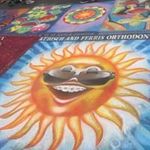 Pamela Light - @plight145 - Instagram