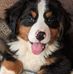 Pamela Link - Facebook