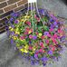 Pam Battels Lowry - Facebook