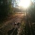 Pamela Joy Lowry Memorial Park - Facebook