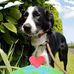 Pamela Lowry - Facebook