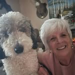 Pamela Lowry- Demeny - @happydogmomma3 - Instagram