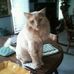 Pamela Major - Facebook