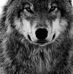 Pamela Major - Facebook