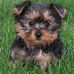 Pamela Mallett - Facebook