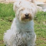 Pamela Martinelli - @martinelli1966 - Instagram