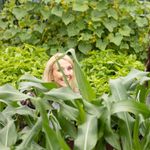 Pamela Martinelli - @pammys_garden - Instagram