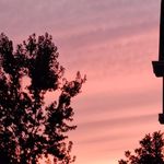 Pamela Stetson Martinelli - @pamela.s.martinelli - Instagram