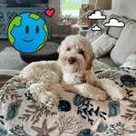 Pamela Mcfarlane-Texer - @pamtex1948 - Instagram