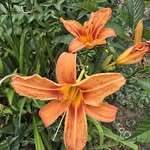 Pamela Meredith Wheeler - @pmwheeler9 - Instagram