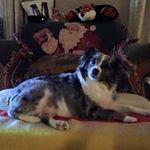 Pamela Messer - @pj_messer02 - Instagram
