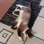 Pamela Morelli - @_pami_morelli - Instagram