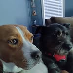 Pamela Mortimer Fasnacht - @pamfasnacht - Instagram