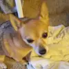pamelanowicki432 - @pamelanowicki432 - TikTok