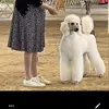 Pamela Oldham Litz - @pamelaoldhamlitz - TikTok